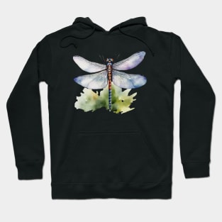 Dragonfly Hoodie